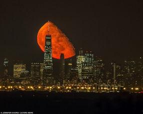 血色月亮在线观看56,惊悚悬疑，在线观看56集的惊心动魄之旅  第1张